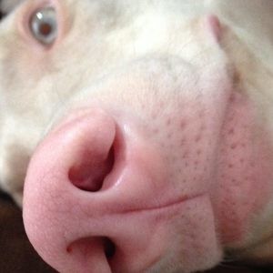 Meet your Posher, Mary sink